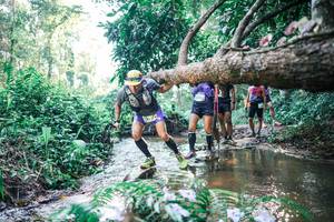 BIB: 
                            <button type="button" onclick="openModal(25435679)" class="btn btn-primary btn-sm float-right btn-popup" data-toggle="modal" data-target=".modal-high-quality">
                        <i class="fas fa-shopping-cart"></i> Add to Cart
                    </button>
                                            <button type="button" onclick="isThisMe(25435679, true)" class="btn btn-success btn-sm float-right btn-popup btn-isme hidden" data-toggle="tooltip" data-placement="bottom" title="นี่คือรูปของคุณใช่ไหม คลิกที่นี่เพื่อเอาเข้าอัลบั้ม">
                        <i class="fas fa-plus"></i> Add to album
                    </button>
                    <button type="button" onclick="isThisMe(25435679, false)" class="btn btn-warning btn-sm float-right btn-popup btn-isnotme hidden">
                        <i class="fas fa-ban"></i> Remove from album
                    </button>